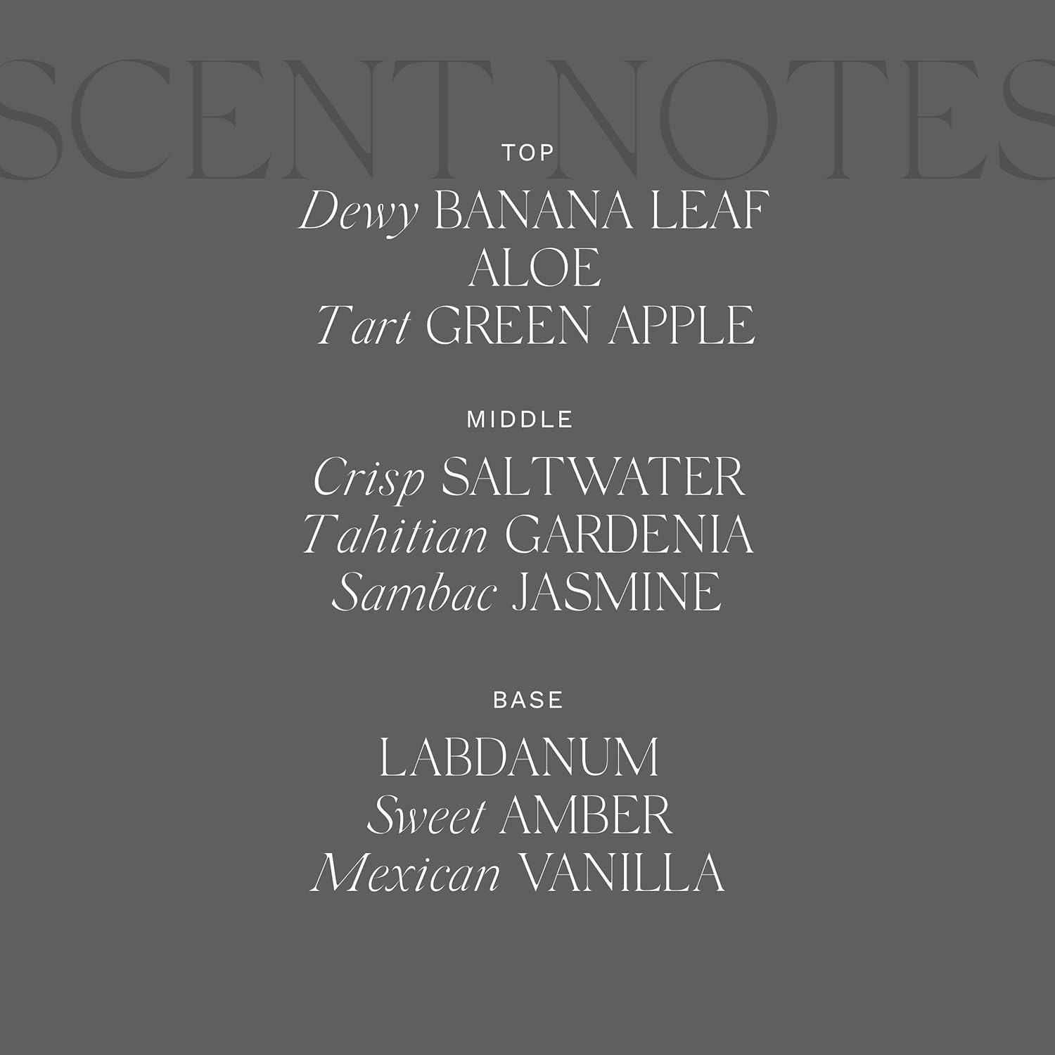 Antica Farmacista Lush Palm Bubble Bath, 16 Fl Oz