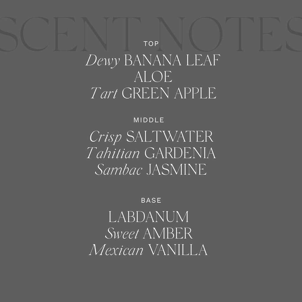 Antica Farmacista Body Moisturizer - Moisturizing Scented Lotion - Premium Body Moisturizer - Luxury Gift for Women & Men - Hand & Skin Hydration - Lush Palm, 10 Fl Oz