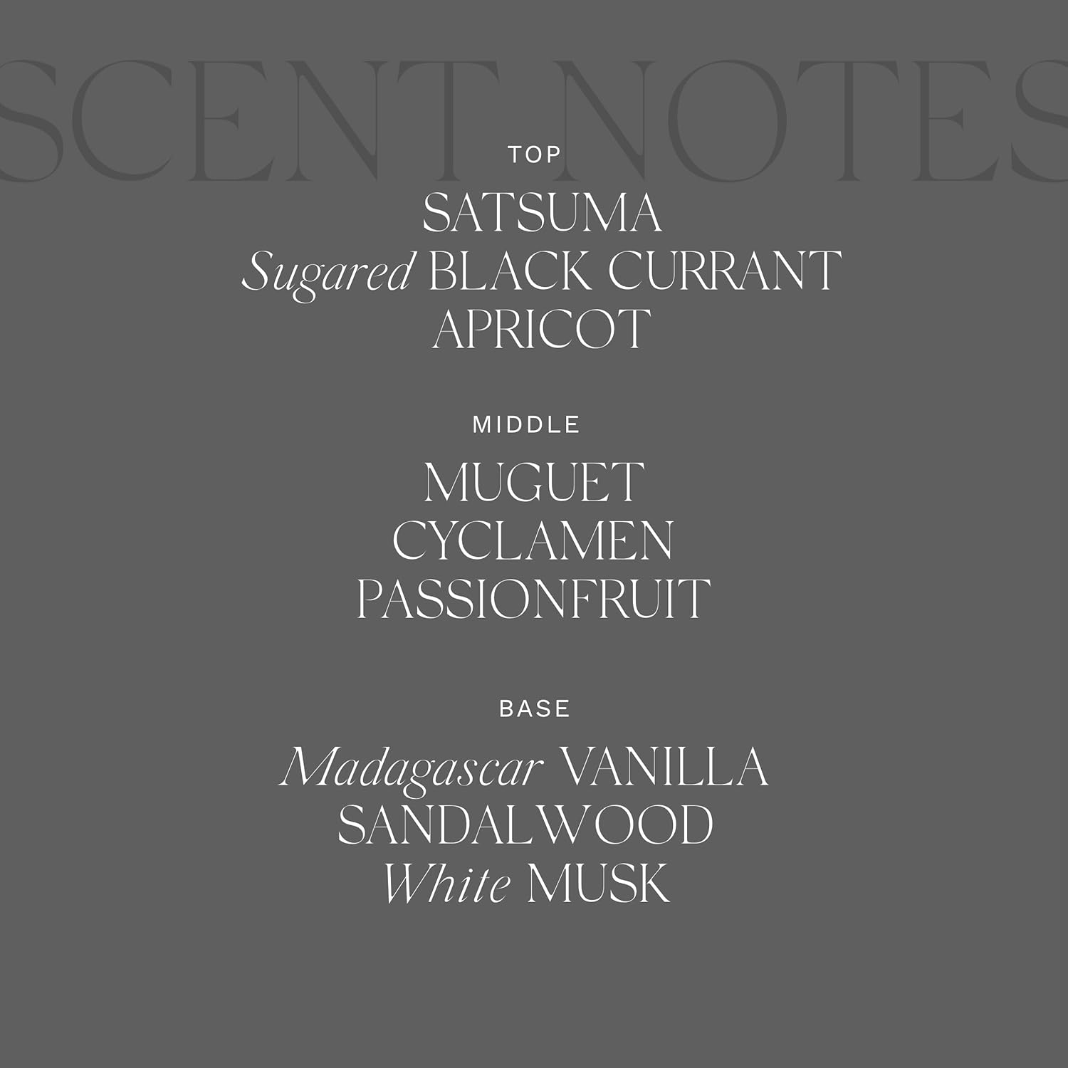 Antica Farmacista Body Moisturizer - Moisturizing Scented Lotion - Premium Body Moisturizer - Luxury Gift for Women & Men - Hand & Skin Hydration - Prosecco, 10 Fl Oz