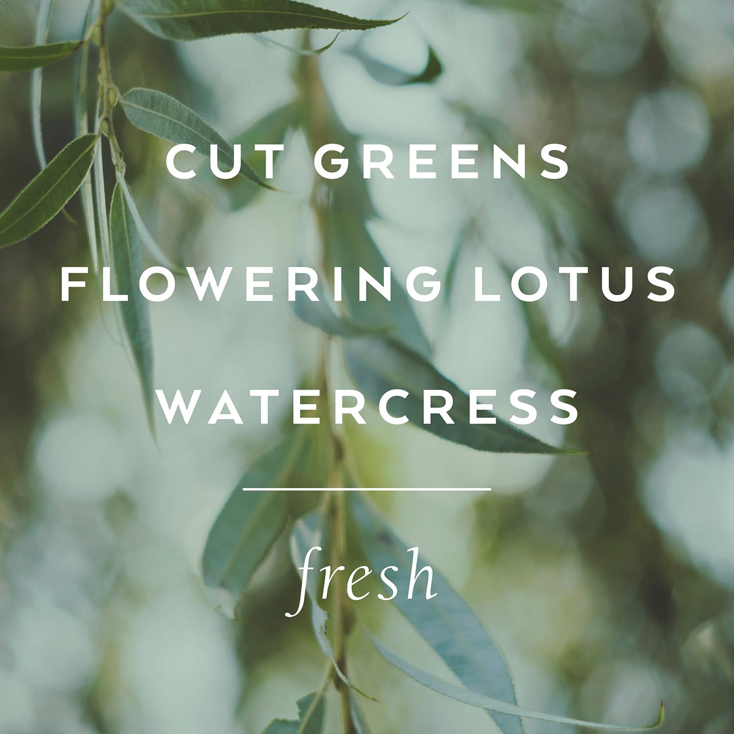 Library of Flowers Willow & Water Bubble Bath, 17 fl. oz., Cut Greens, Flowering Lotus & Watercress, Relaxing & Gentle Luxury Bubbling Soap, Hydrating & Deep Moisturizing, Cocoa Butter & Green Tea