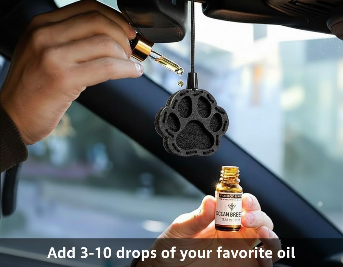 Wood Car Air Freshener — Handmade Car Air Freshener — Paw Designed Fragrance Oil Diffuser in Wooden Gift Box — Aromatherapy Gift Set with Coffee Beans Fragrance Oil - 10 ml