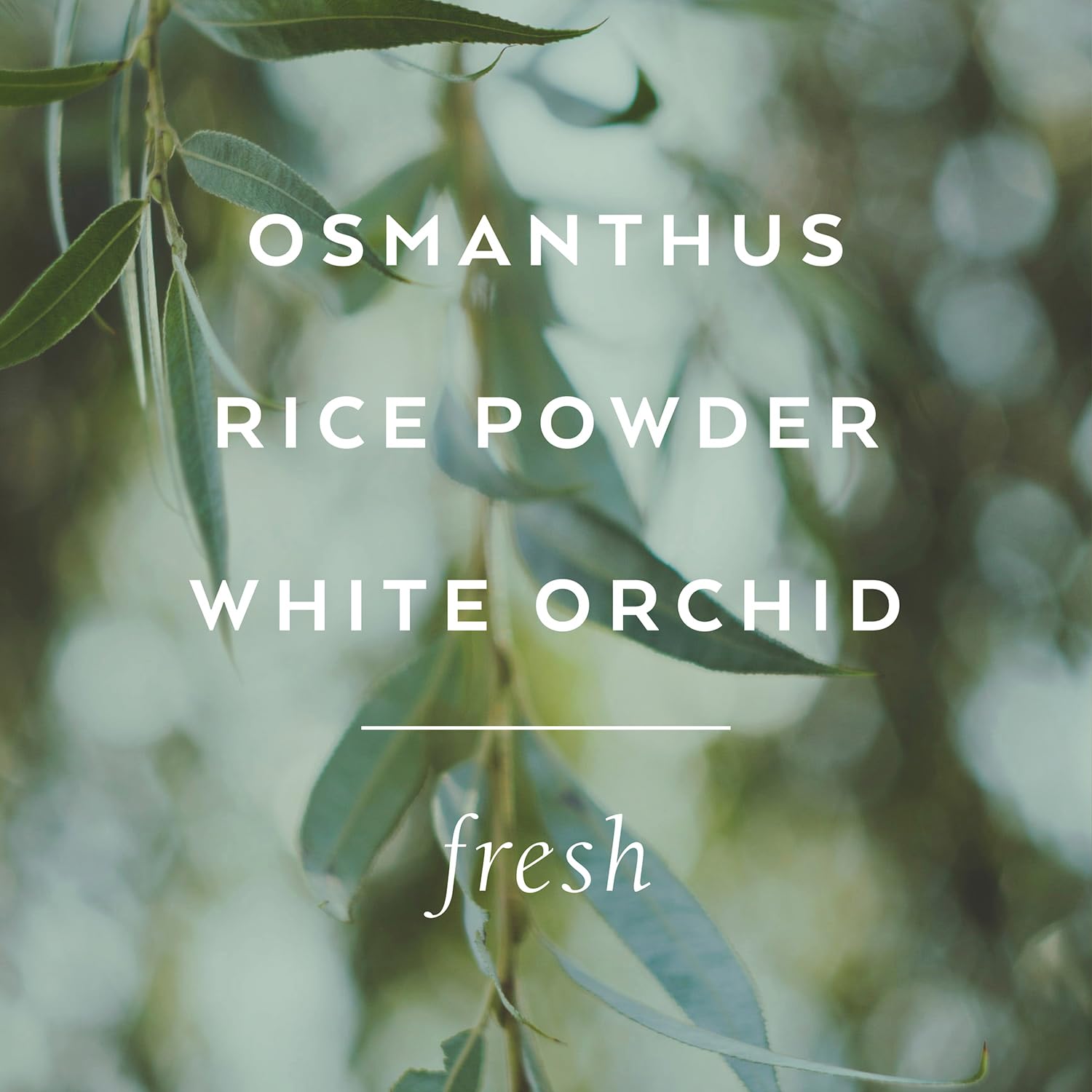 Library of Flowers Forget Me Not Bubble Bath, 17 fl. oz. - Osmanthus, Rice Powder & White Orchid – Relaxing & Gentle Bubble Bath Soap, Skin Hydrating & Deep Moisturizing, Avocado Oil & Green Tea