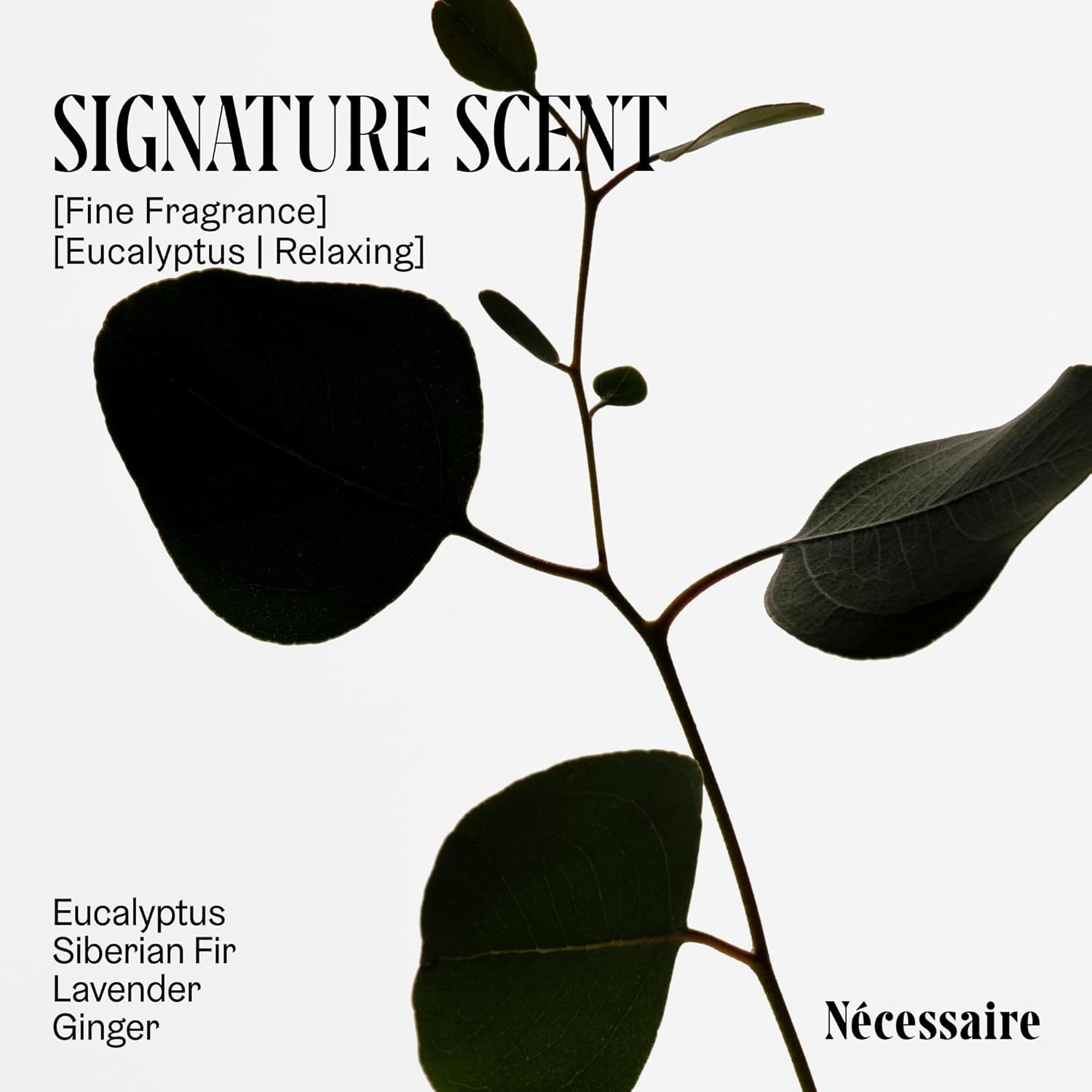 Nécessaire The Deodorant Eucalyptus | Natural Aluminum Free Deodorant For Women & Men. Extra Strength Treatment with Mandelic Acid. Free of Baking Soda, Ozokerite & Parabens (75 g/2.5 oz)