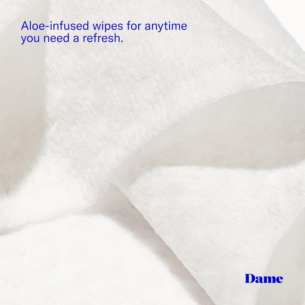 Dame Products Body Wipes - Cleansing and Nourishing - pH-Balanced Formulated with Aloe and Cucumber Extract - Disposable and Flushable - 25 Count