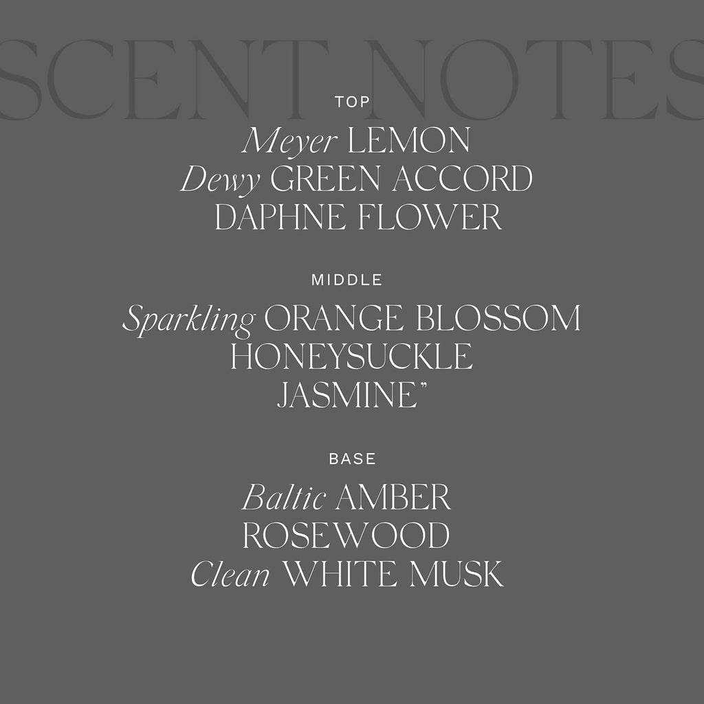 Antica Farmacista Body Moisturizer - Moisturizing Scented Lotion - Premium Body Moisturizer - Luxury Gift for Women & Men - Hand & Skin Hydration - Daphne, 10 Fl Oz