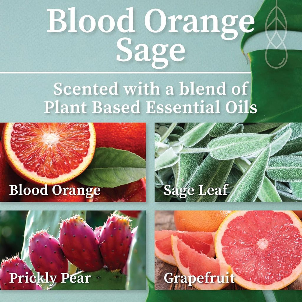 Hemlock Park Blood Orange Sage Artisanal Spa Gift Box | Apothecary Candle, Shea Butter Soap, Bath Bomb, Mineral Salt Bath Soak | Handcrafted with Plant Based Ingredients