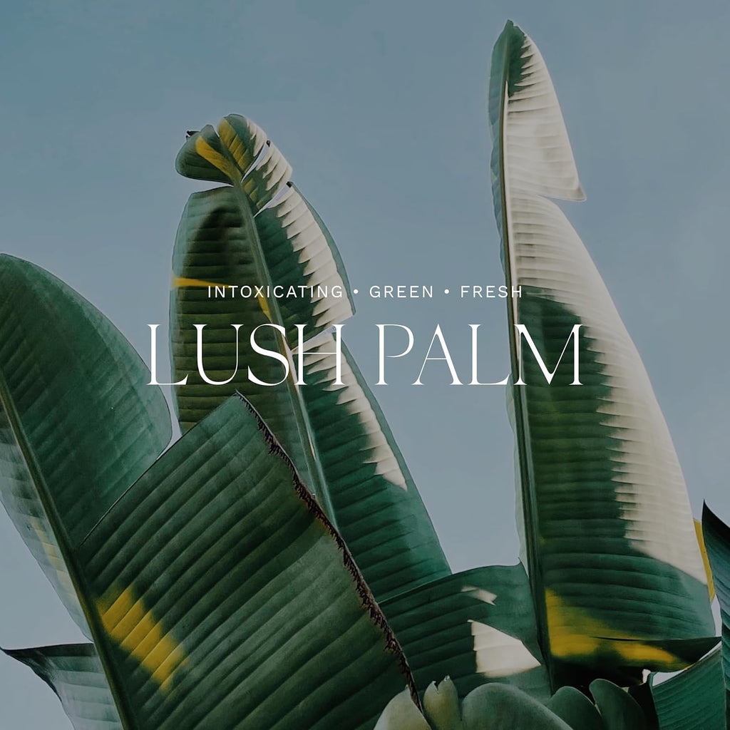 Antica Farmacista Body Moisturizer - Moisturizing Scented Lotion - Premium Body Moisturizer - Luxury Gift for Women & Men - Hand & Skin Hydration - Lush Palm, 10 Fl Oz