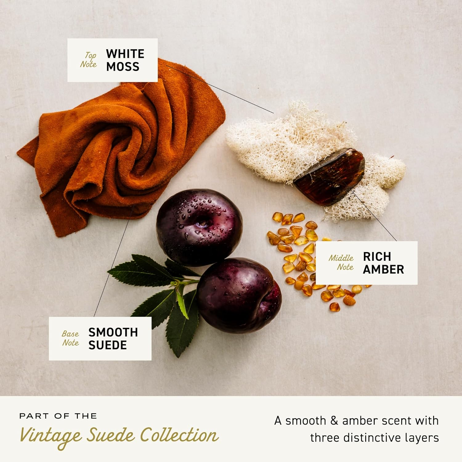 Cremo Rich-Lathering Vintage Suede Body Wash for Men, A Vintage Suede with Notes of White Moss and Rich Amber, 32 Fl Oz