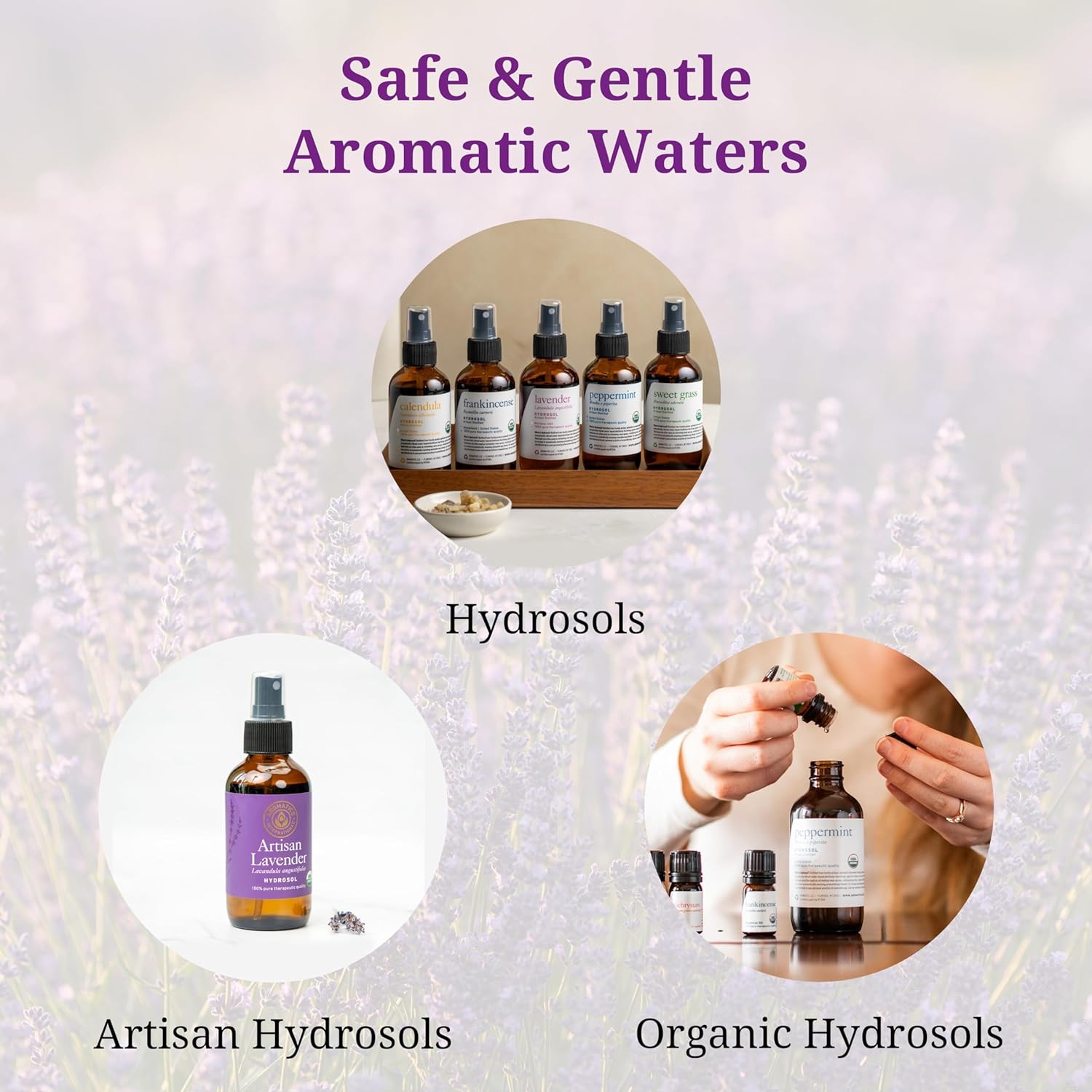 Aromatics International Roman Chamomile Hydrosol 100ml | Calming Aromatic Mist for Everyday Use
