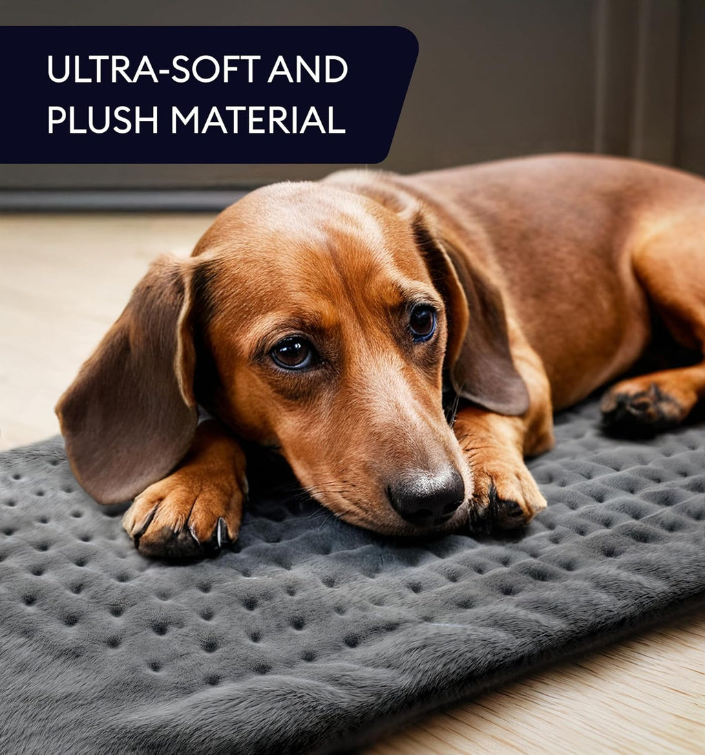 GENIANI Electric Throw - XL Electric Heating Pad for Back Pain & Cramps Relief, Birthday for Women Men Auto Shut Off, Machine Washable, Heat Pad for Neck & Shoulder, 12×24", Tabby Gray