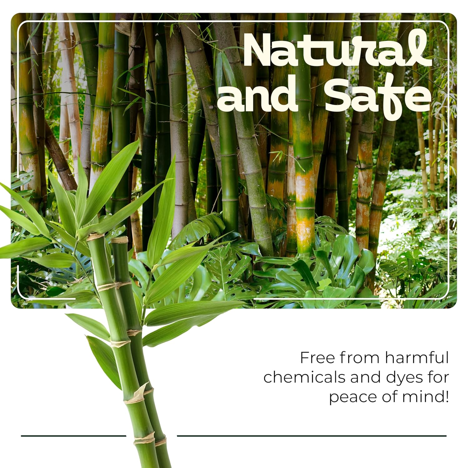 Bamboozle Eco-Friendly Bamboo Cotton Swabs - Sustainable, Biodegradable, & Stylish Personal Care Solution, 1000 count
